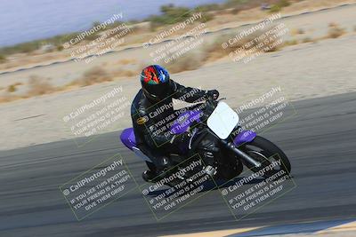 media/Mar-12-2022-SoCal Trackdays (Sat) [[152081554b]]/Turn 14 Inside (155pm)/